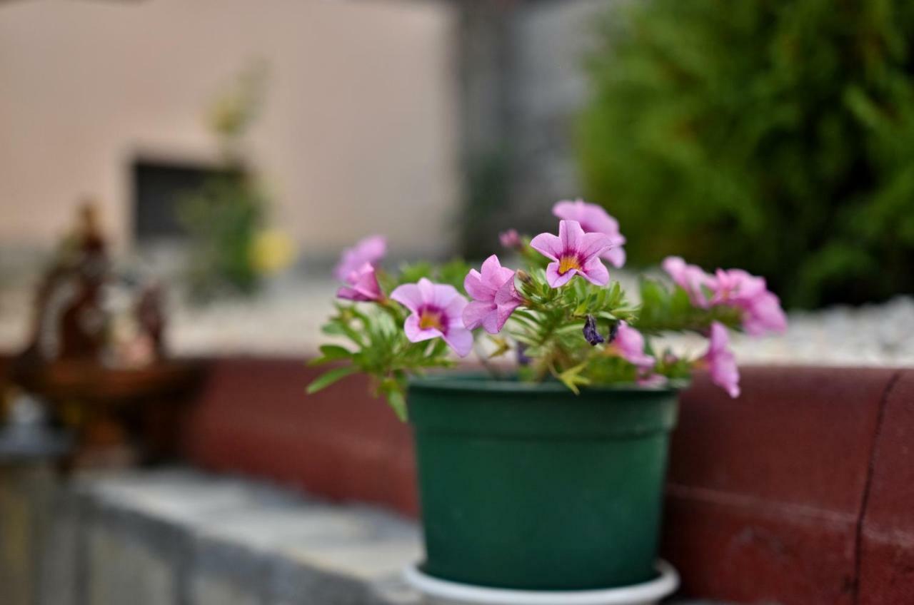 Saint Maria Guest House Velingrad Ngoại thất bức ảnh